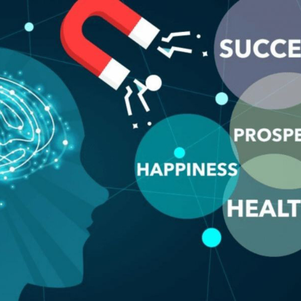 luat_hap_dan_–_bi_mat_de_bien_suy_nghi_thanh_hien_thuc