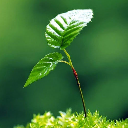 10_niem_tin_tich_cuc