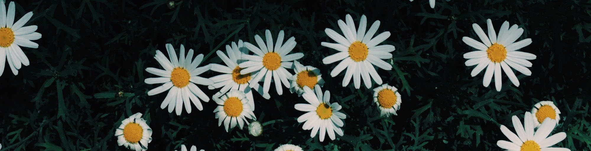 truong hoc vui ve- thanh tay