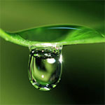 truong hoc vui ve - su can bang