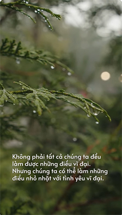 Video thumbnail: Những câu nói hay của mẹ Teresa #truyendongluc #cuocsong #tamtrang